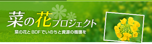 菜の花プロジェクト 菜の花とＢＤＥでいのちと資源の循環を