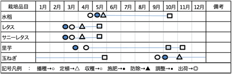 年間生産計画