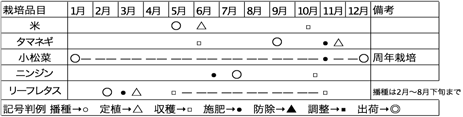 年間生産計画