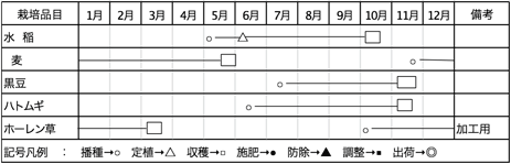 年間生産計画