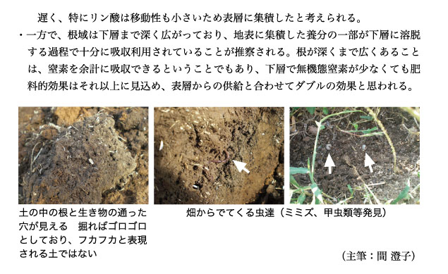 有機農業者市町村別分布